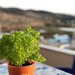 וילה Garden *